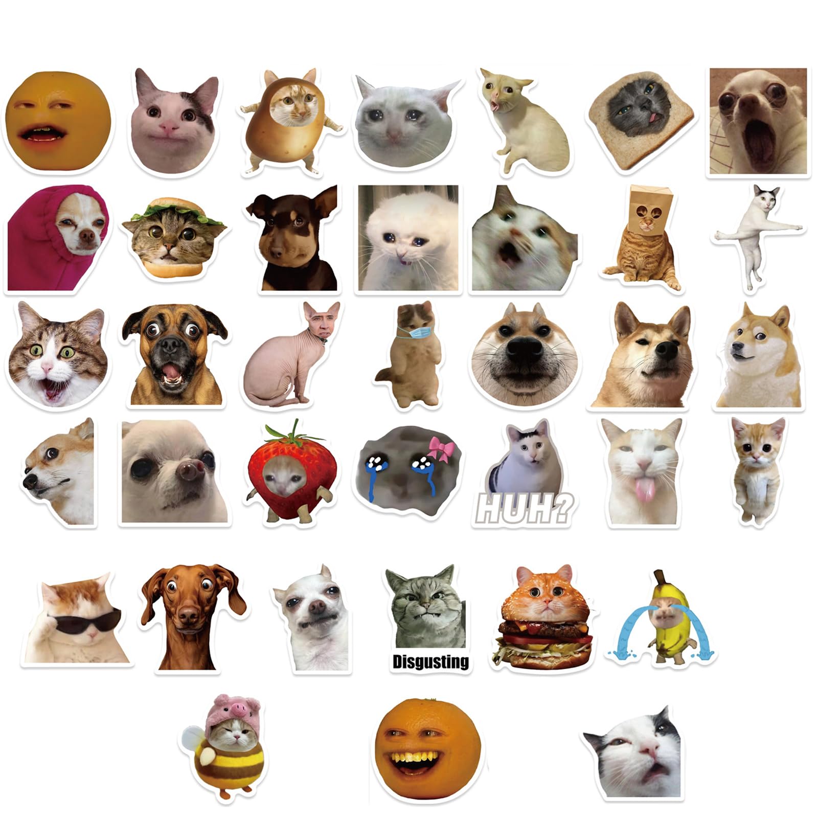 Tivleed 50Pcs Meme Stickers Laptop Stickers, Cute Stickers, Cat Stickers, 50Pcs Funny Meme Stickers-Waterproof Stickers For Water Bottles, Skateboards With Cats, Dogs & People Expressions (50Pcs Meme Stickers)