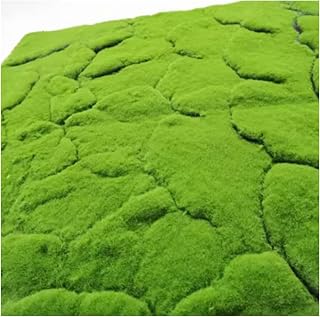 SCITOY Moss Wall Panels Decorative Mini Landscape Simulation Plant Lichen Artificial Moss Mat Suitable for Store Courtyard Garden Balcony (Color : A, Size : 100x100cm)