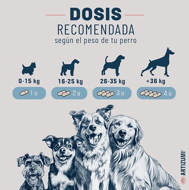 Foto 4 de 7 de Condroprotector Perros