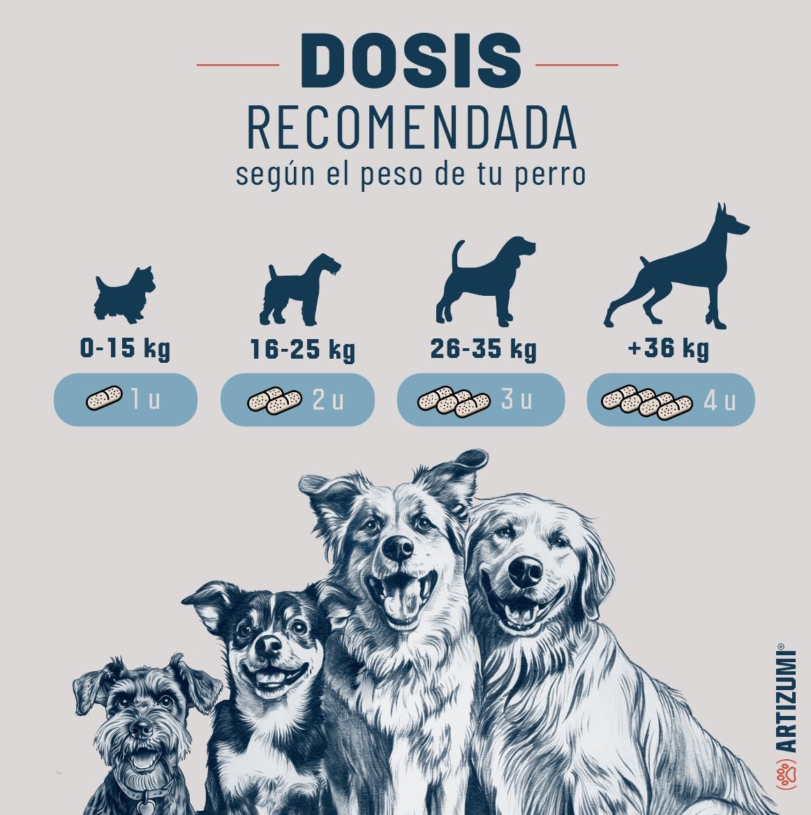 Condroprotector Perros | 100% Natural | Pastillas con MSM, Glucosamina, Colágeno, Condroitina para Proteger y Fortalecer Huesos y Articulaciones de Perros Mayores o con Problemas de Cadera | 120 uds