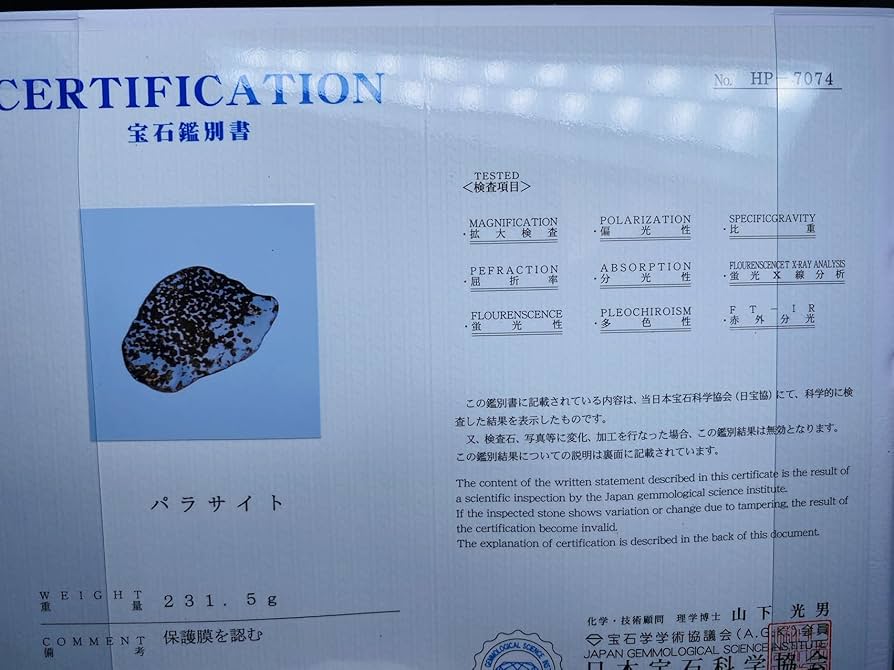 鑑別書付き パラサイト隕石 255g 138㍉ 石鉄隕石 筆立て メテオライト 鑑別書付き パラサイト隕石 255g 138㍉ 石鉄隕石 筆立て メテオ