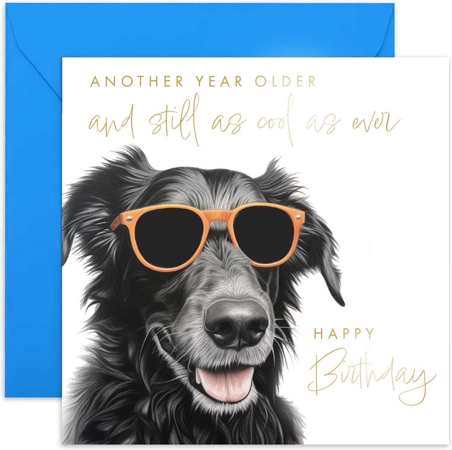 Lustige Hundebegrüßungskarte Für Geburtstage – 'Calculations Correct, You're Old' Für Ihn Und Sie