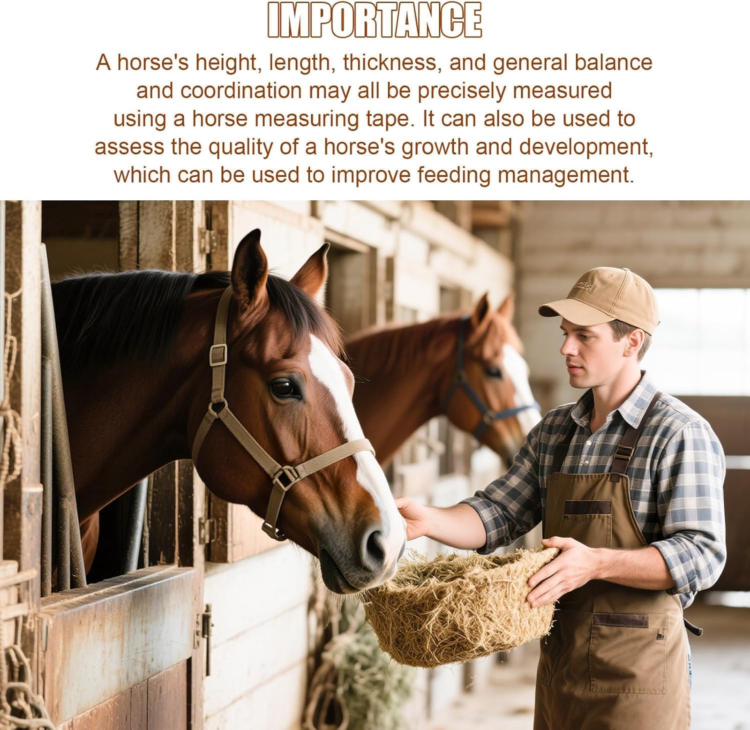 Horse Measuring Stick - Foldable Horse Meter Height Pole for Accurately Measure The Height of Horse Measures 7H to 18H
