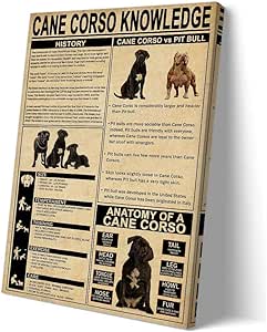 Amazon.com: Jinwaftv Cane Corso Dog Knowledge Poster Educational Wall ...