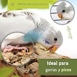 Ver la foto 6