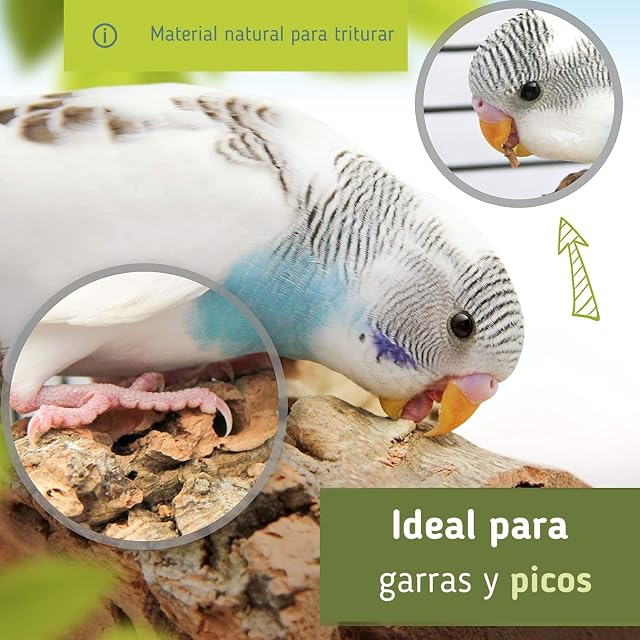 Foto 6 de 6 de Asiento de Corcho, Tabla de Asiento para pájaros, Tabla de Corcho, Tabla de Asiento, Juguete para morder