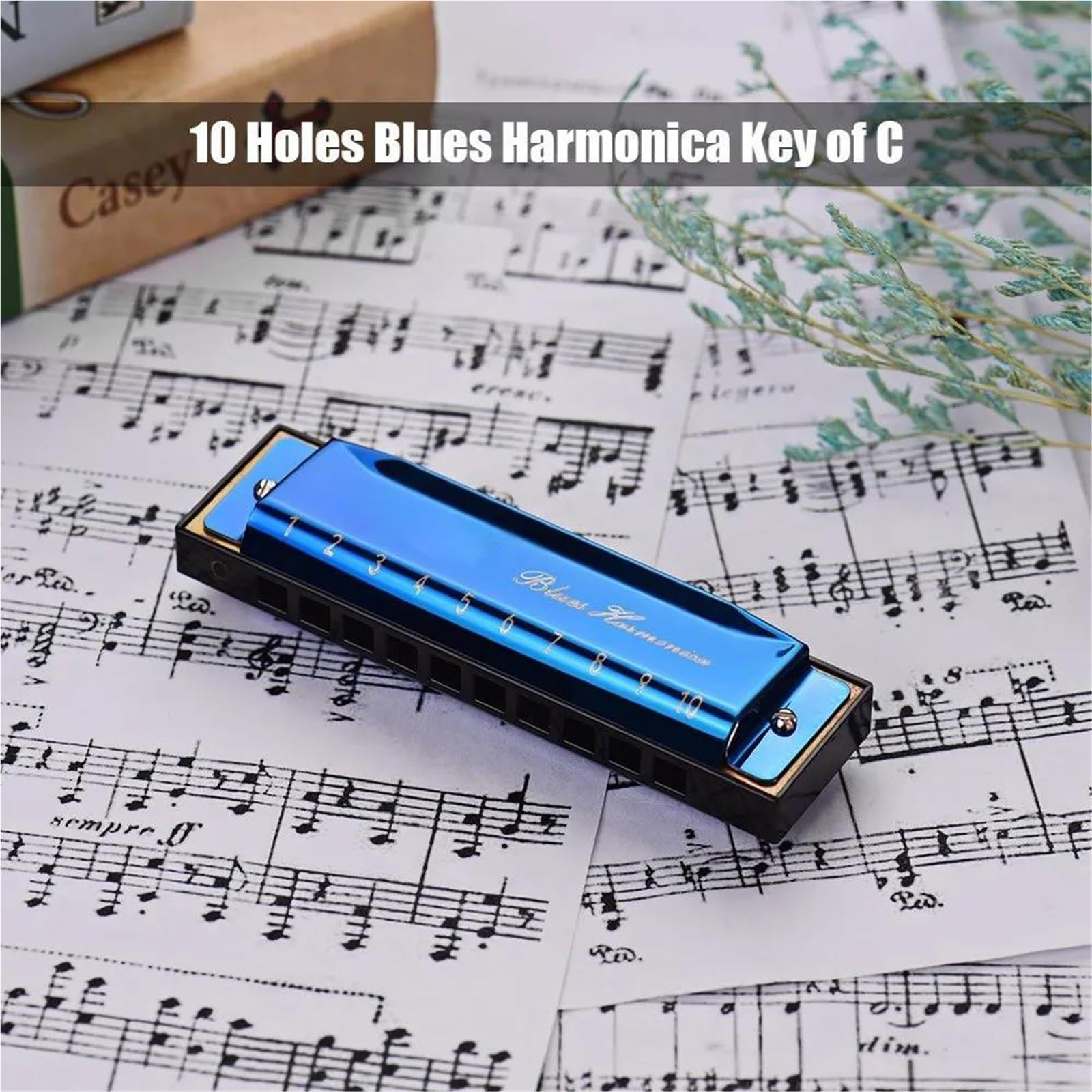 Armonica Per Principianti Armonica A Bocca In Chiave Di Do 10 Fori 20 Note Armonica A Bocca Strumento Musicale Per Principianti Melodica(Blue)