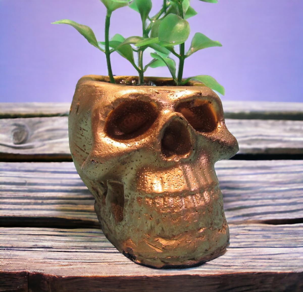 Handmade Large Gold Zombie Skull Aquarium Decoration with Tall Artificial Plant. Creepy Halloween Fish Tank Decor Ornament.