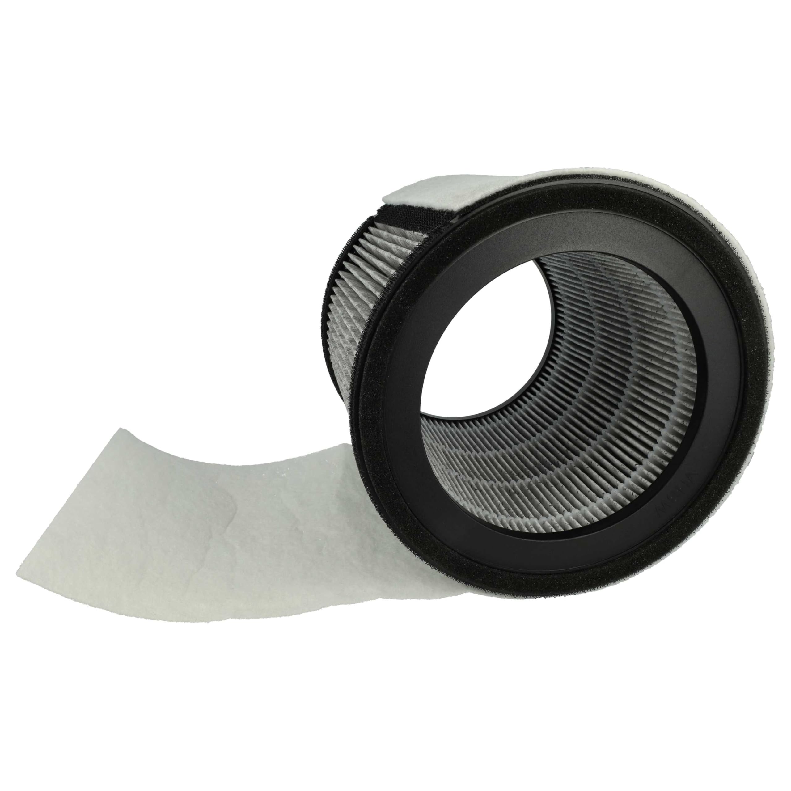 vhbw 2x HEPA Filter H12 kompatibel mit Leifheit/Soehnle Airfresh Clean Connect 500 Luftreiniger - Ersatz-Filter