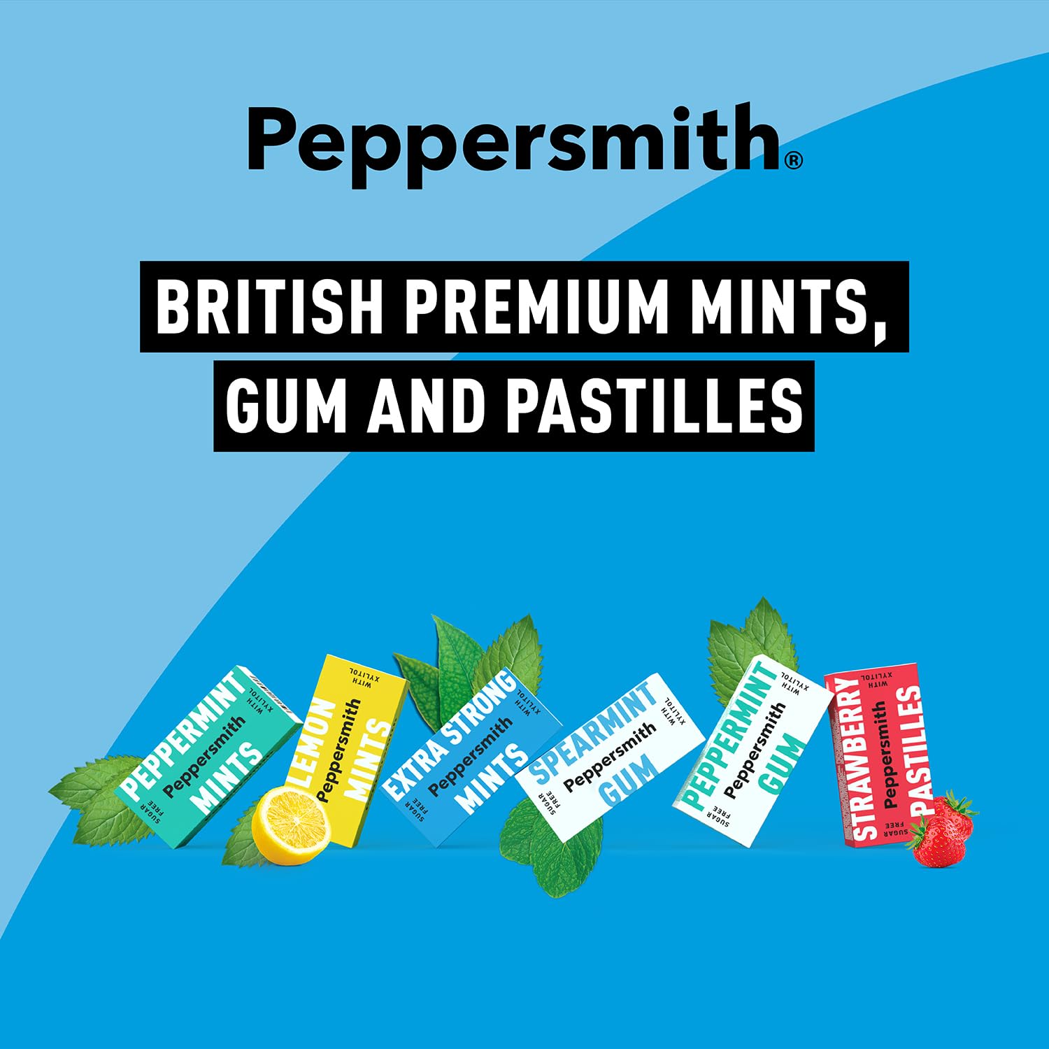 Peppersmith 100% Xylitol Mints, Eucalyptus and Fine English Peppermint, 15 g (Box of 12, Total 300 Mints)