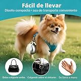 Ver la foto 8