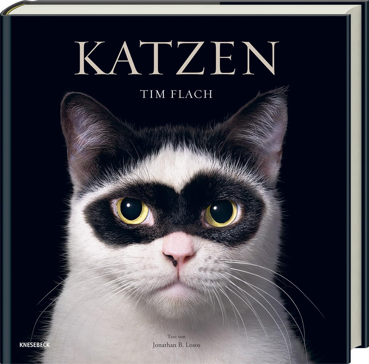 Katzen: Hochwertiger Bildband mit beeindruckender Tierfotografie, stimmungsvollen Aufnahmen und faszinierenden Fakten - das ideale Geschenk für Katzenliebhaber