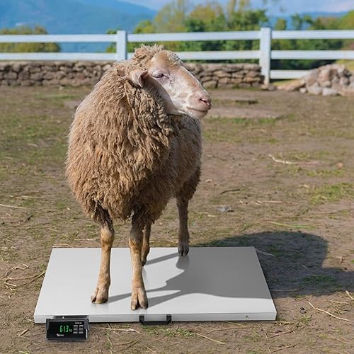 Miniatura 3 de TUFFIOM Báscula postal digital para ganado de 1100 libras x 0.2 libras, plataforma electrónica de acero inoxidable resistente para animales