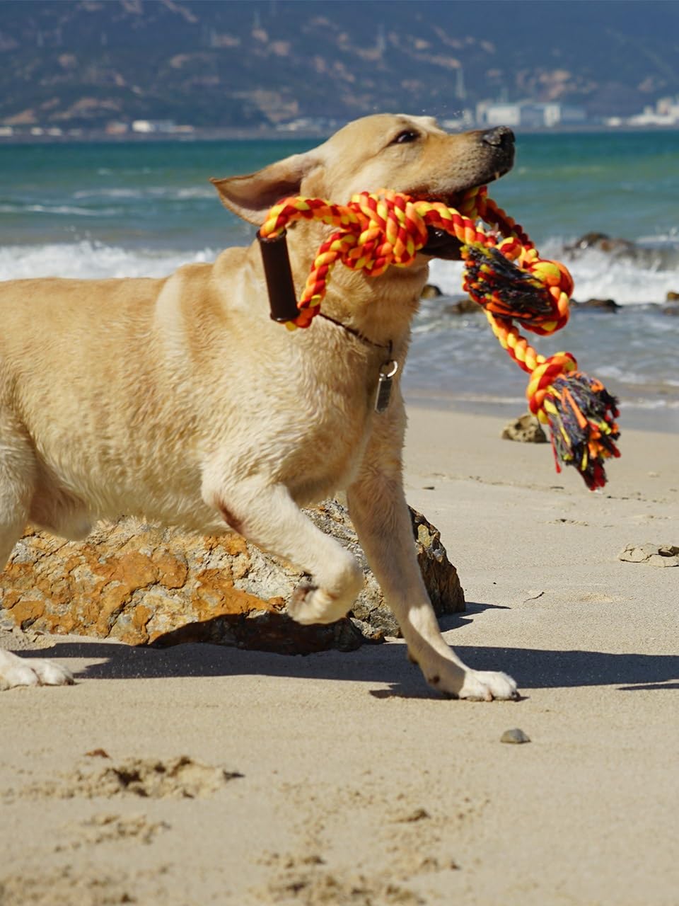 Großes Hundespielzeug für aggressive Kauer, Pitbull, Tauziehen, interaktiv, strapazierfähig, Outdoor, mittelgroße und große Rassen, XL-Kauseil, robust, Zugseil mit Griff