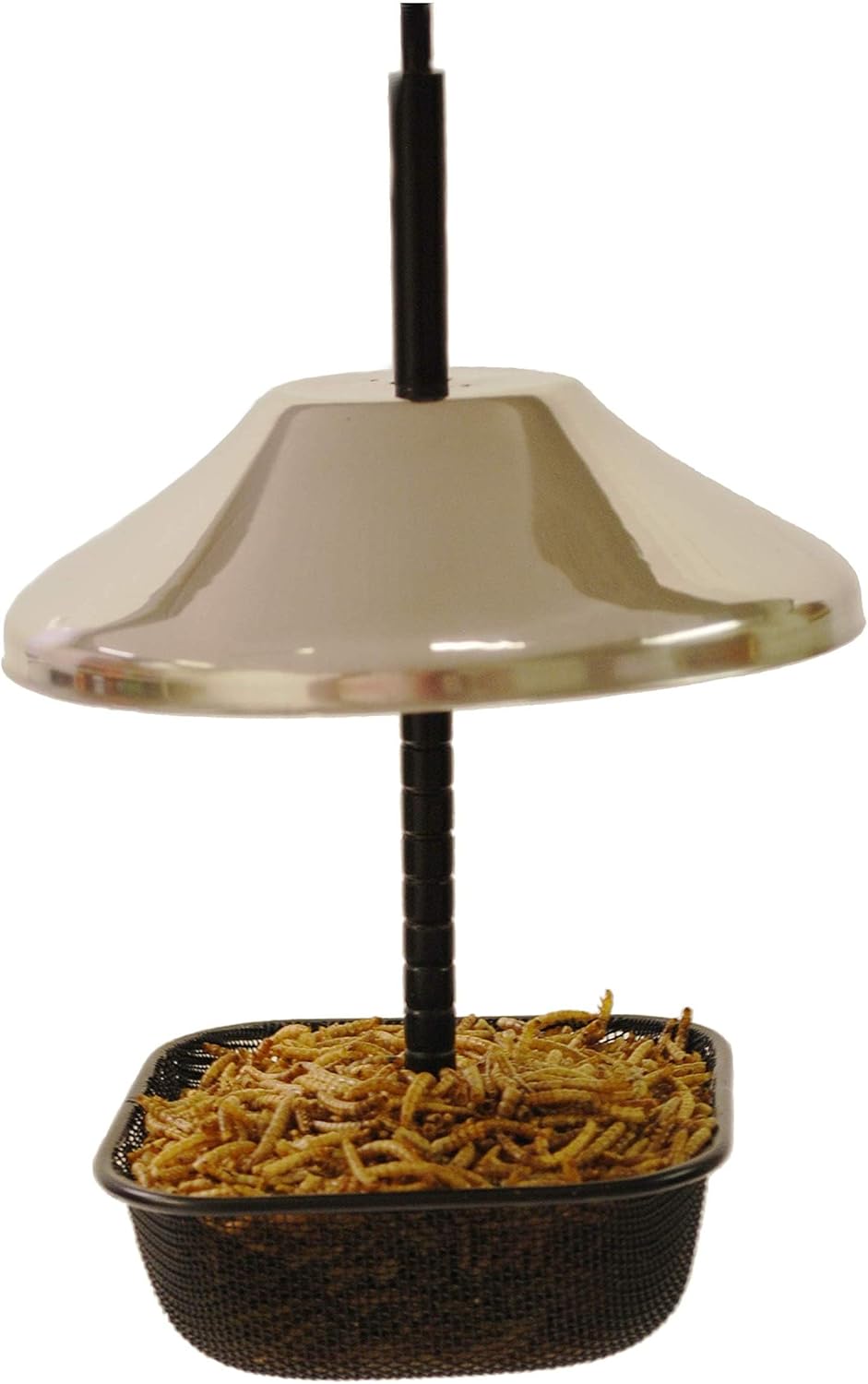 Mealworms and Bird Feeder Combo | 7 oz Bag of Mealworms and 5 x 5 inch Powder Coated Mesh Bowl with Adjustable Roof
