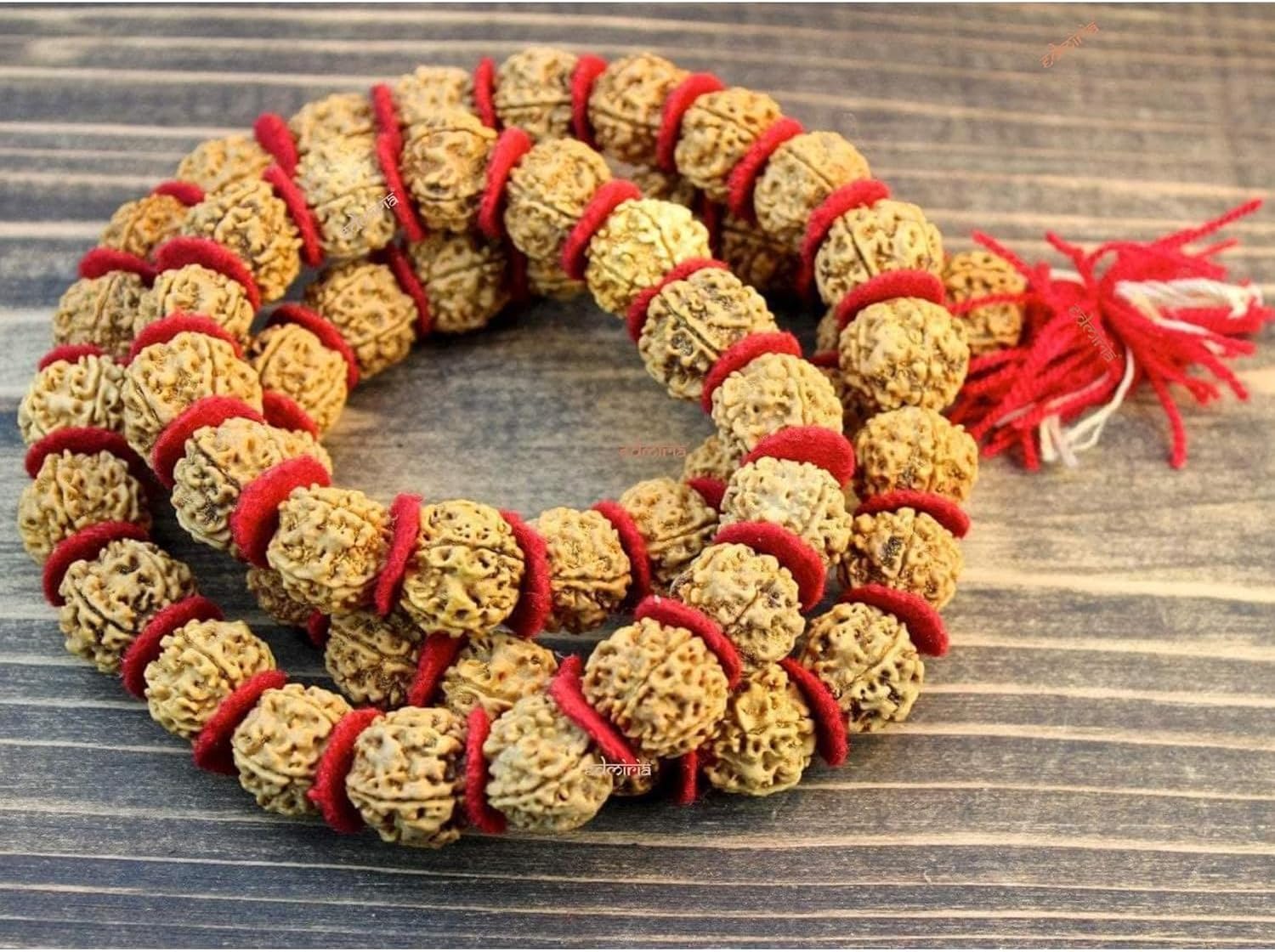5 Mukhi Rudraksha Kantha Mala Big Beads | Five Face Rudraksha Kantha | Panch Mukhi Rudraksha Kantha | Mala| Holy & Auspicious NEPALI Rudraksha Beads Size-20mm Approx - Image 2