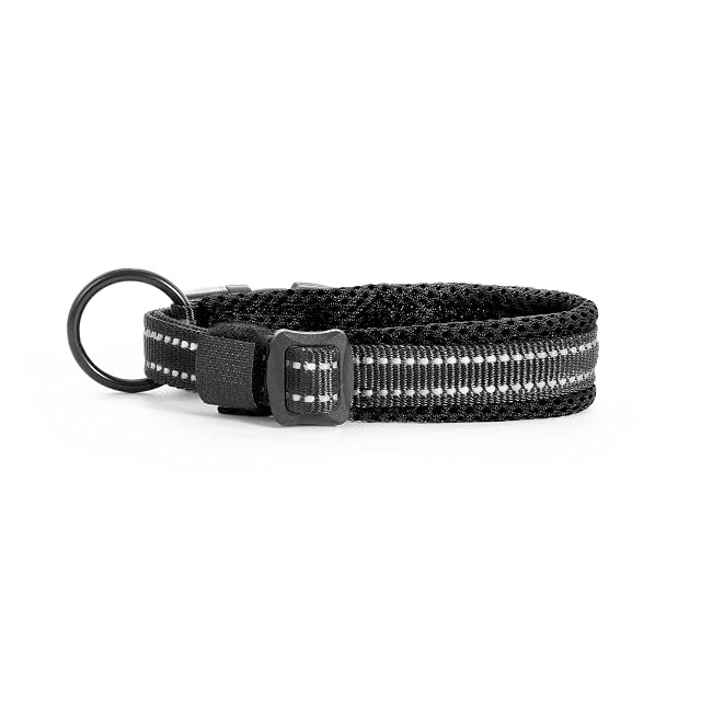 Foto 2 de 5 de Record - Collar Perro Andes - Fabricado en Nylon Resistente - Detalles Reflectantes