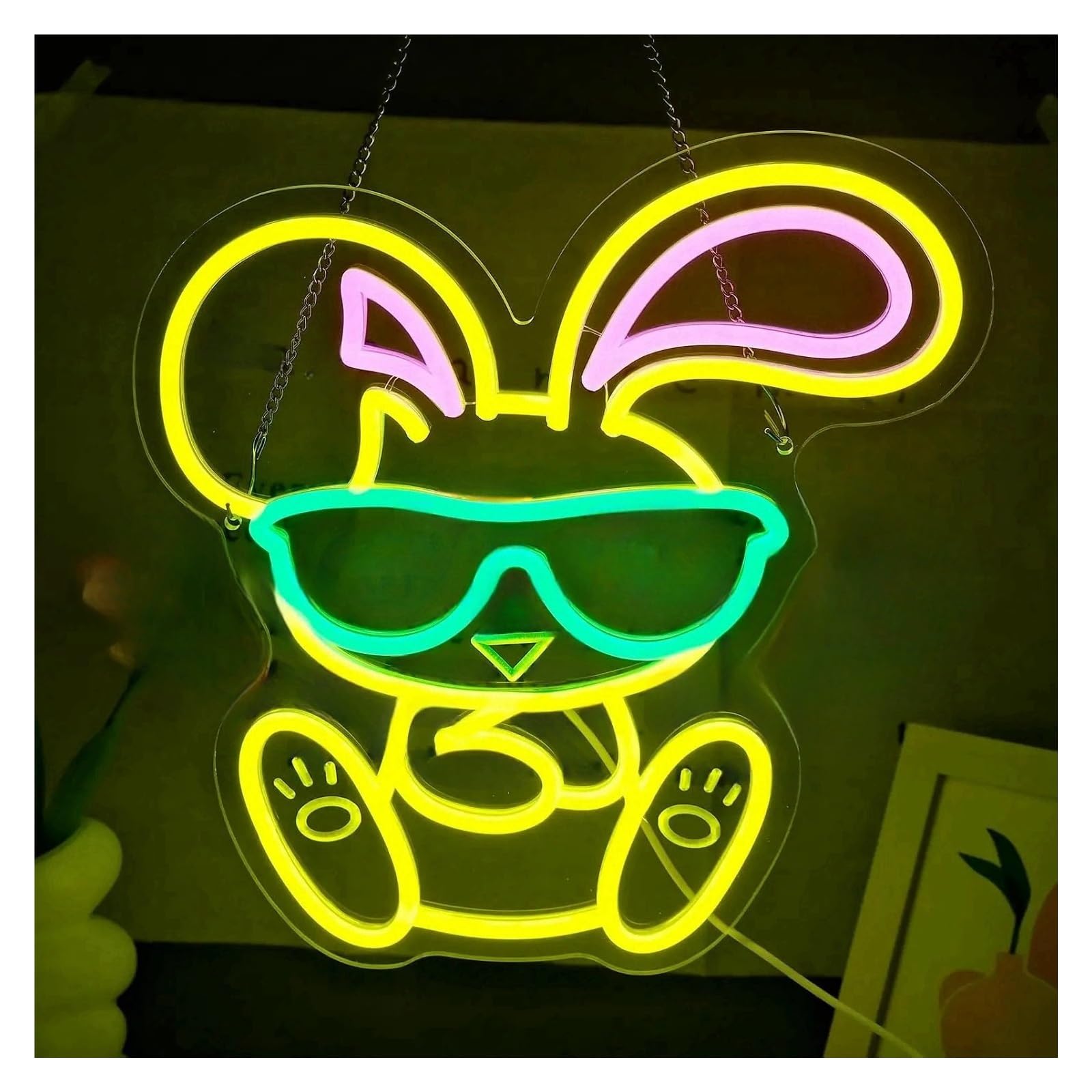 LEMST Signs Lamp Wearing Sunglasses Bunny Neon Sign USB Powered Dimmable Cute Rabbit Light for Art Party Animal Kindergarten Room Decor 32cmx34cm