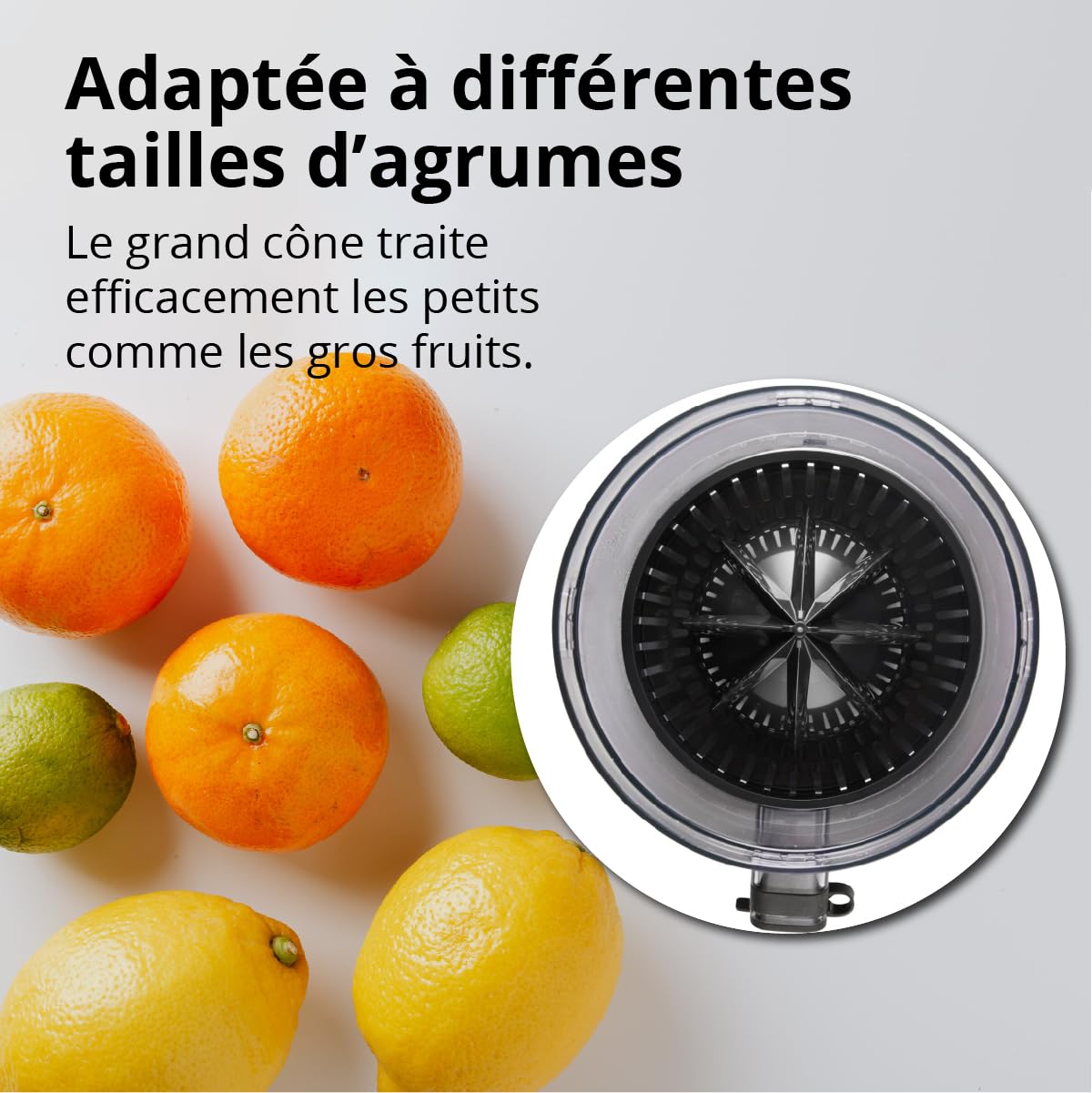 EUREL OA42 Presse agrume electrique – Presse agrumes sans fil et rechargeable – Presse orange electrique automatique, sans BPA, noir