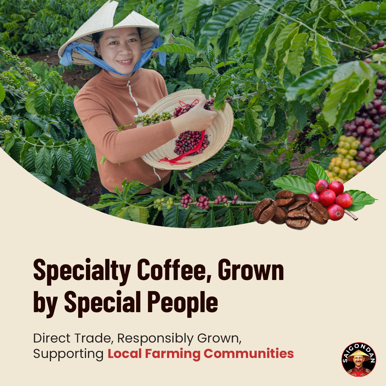 Saigondan Harmony Whole Bean Coffee – Limited Seasonal Release | 100% Arabica Typica Single Origin Vietnamese Coffee | Small Batch Medium Roast | Specialty Direct Trade – 12 oz