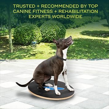 FitPaws Wobble Board - Dog Balance Training Equipment for Core Strength & Stability Canine Fitness & Rehabilitation Tool 20