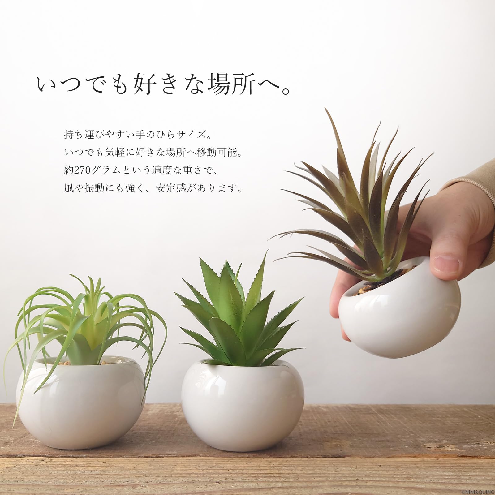 Amazon｜フェイクグリーン ミニポット エアプランツ アナナス