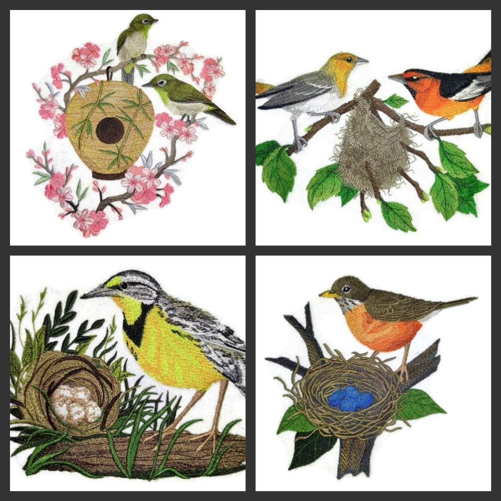 Nature Weaved in Threads, Amazing Birds Kingdom Bullock's Orioles and Nest [Custom and Unique] Embroidered Iron on/Sew Patch [10.55" *6.89"] [Made in USA]