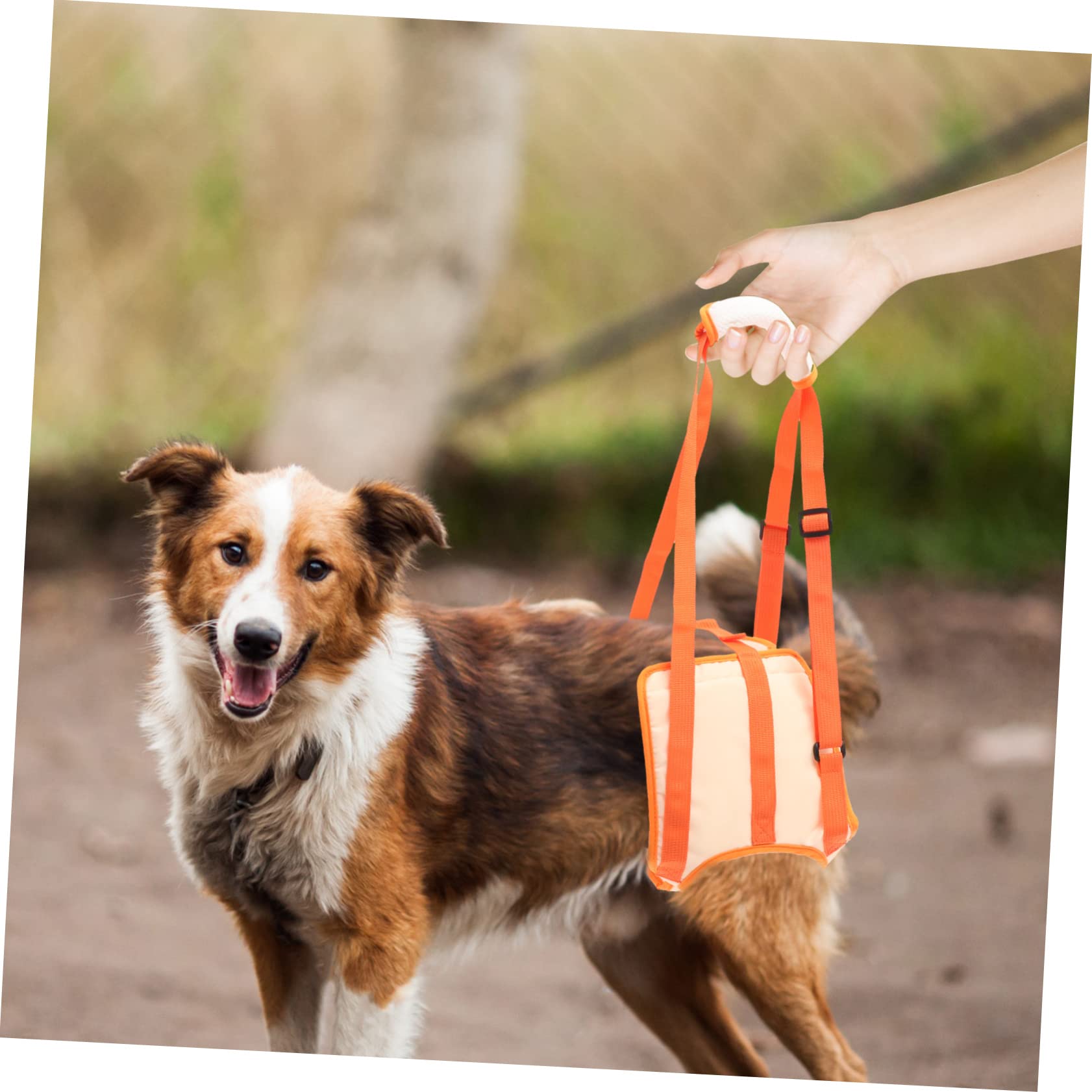BESPORTBLE 3pièces De Levage pour Chiens Ceinture De Soutien Arrière pour Réhabilitation Canine Sling De Soutien pour Animaux De Compagnie Tour Tour De Jambe