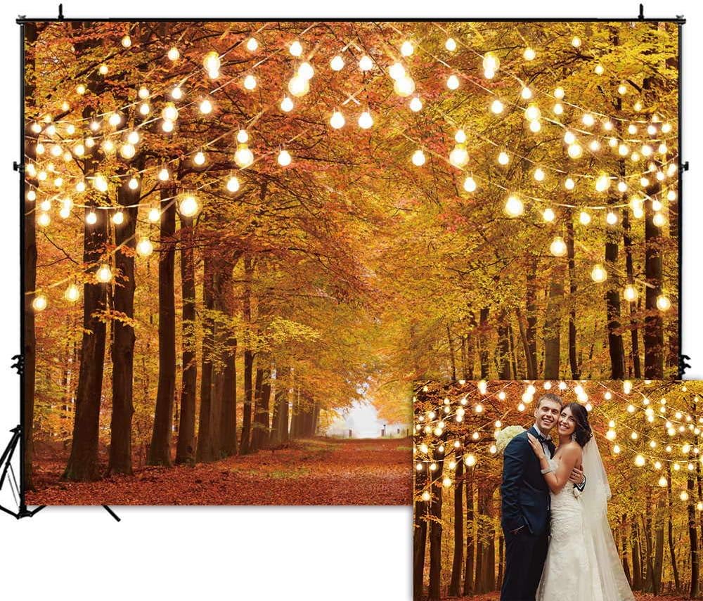 Crаzу Clеаrаnсе Funnytree 8x6FT Durable Fabric Glitter Autumn Forest Photography Backdrop Sparkle Natural Scenery Fall Landscape Leaves Party Banner Backgound Decor Photo Booth