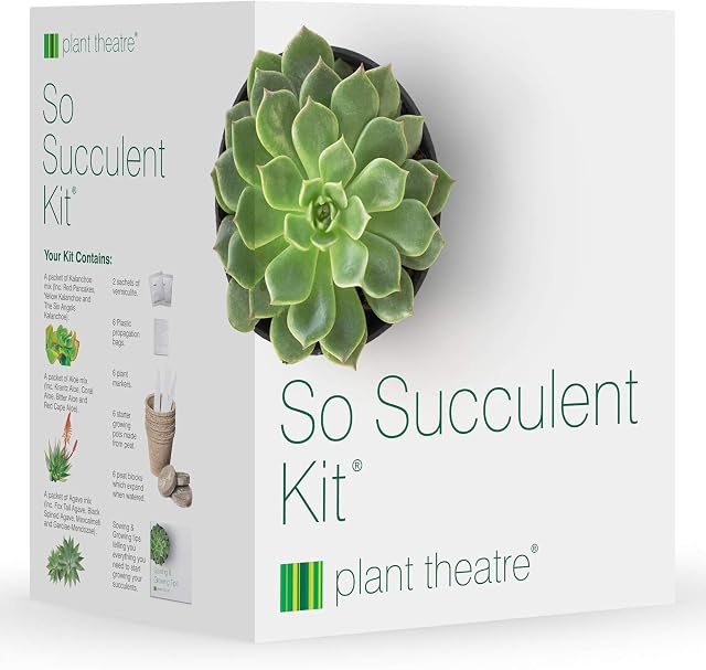 Plant Theatre So Succulent Kit - Gift Seed Kit with Super Succulent Plant Varieties to Grow, So Easy to Care for!