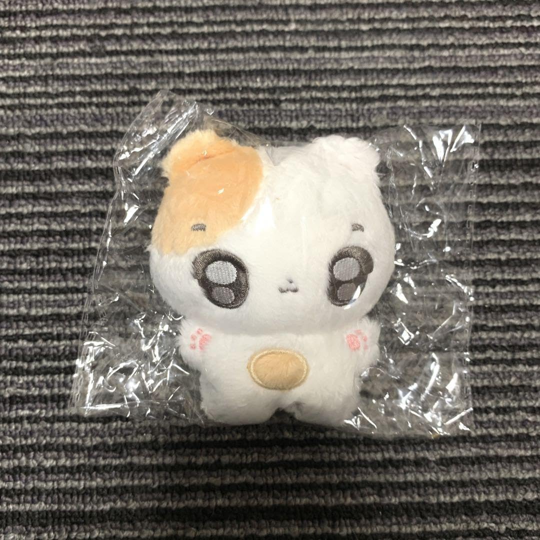 Amazon.co.jp: enhpyen ヒスン ぬいぐるみ 10cm マスター セブチ