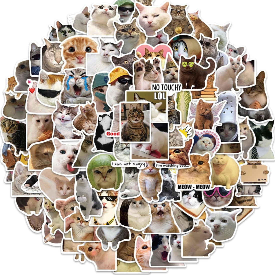 100 adesivi per meme, simpatici adesivi, divertenti adesivi per gatti, impermeabili, per laptop, telefoni cellulari, skateboard, bagagli, ecc