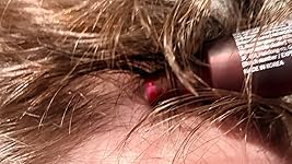 Review Image by Placeholder Placeholder