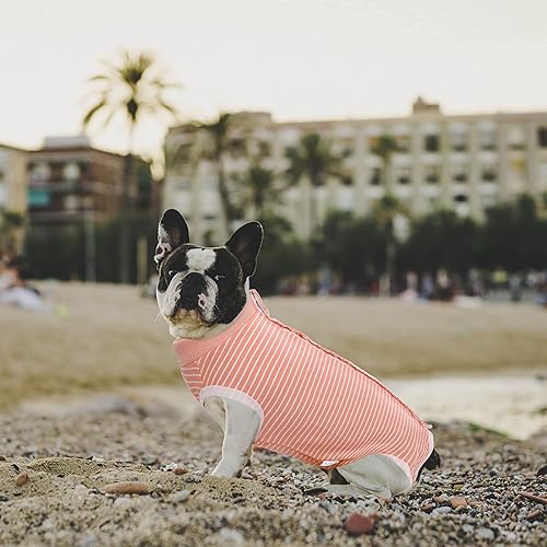 Miniatura 52 de SAWMONG Traje de recuperación para perros, traje de recuperación para perros después de la cirugía, traje quirúrgico de esterilización para perros