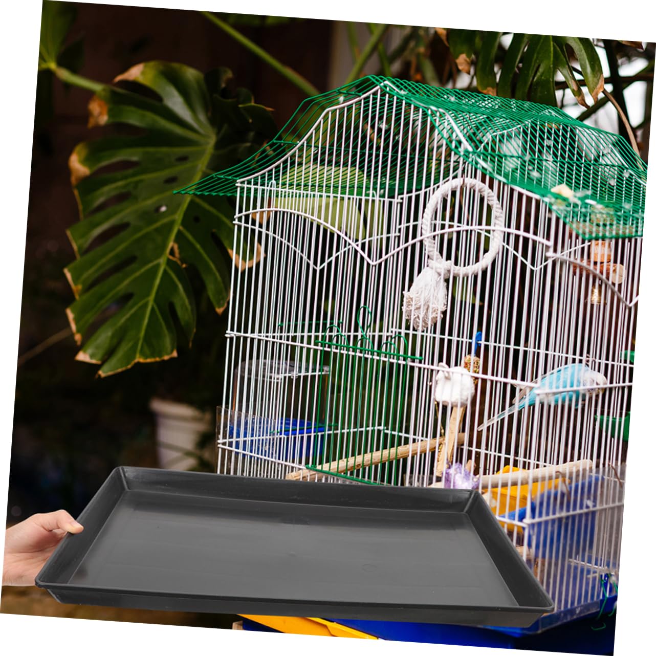 2 Piezas Bandejas para Jaula De PáJaros Y Perros PequeñOs Bandeja Inferior De PláStico Reutilizable Antifugas Y FáCil De Limpiar para Conejitos Y Aves
