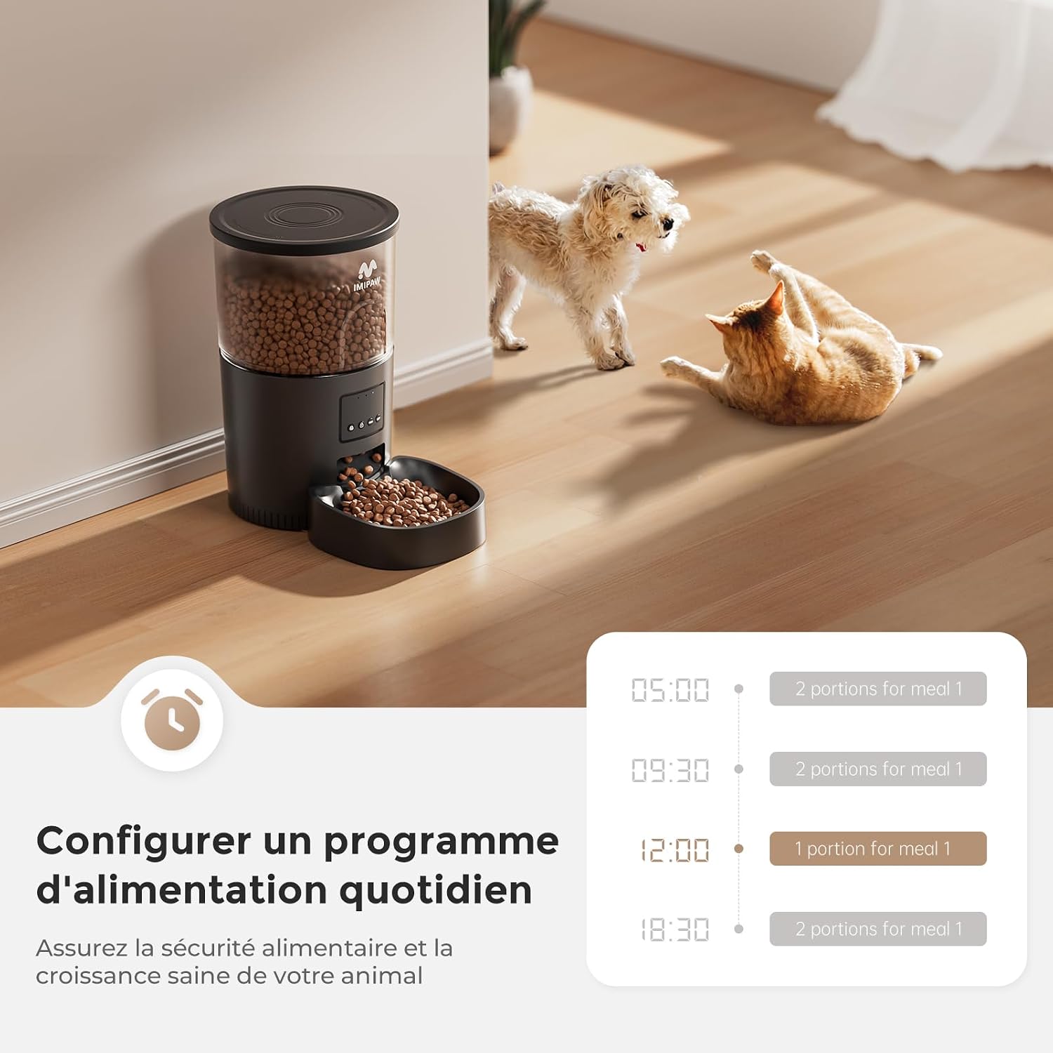 IMIPAW Distributeur Automatique de Croquettes 3L pour Chats et Chiens, Programmable 1 à 10 - Mise en situation et utilisation