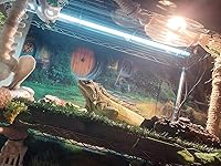 Review Image by Aaron