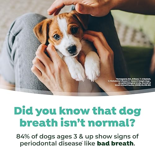 Miniatura 7 de TropiClean Aliento fresco para cachorros Aditivo de agua para el cuidado bucal del perro Ambientador de aliento para cachorros para la salud