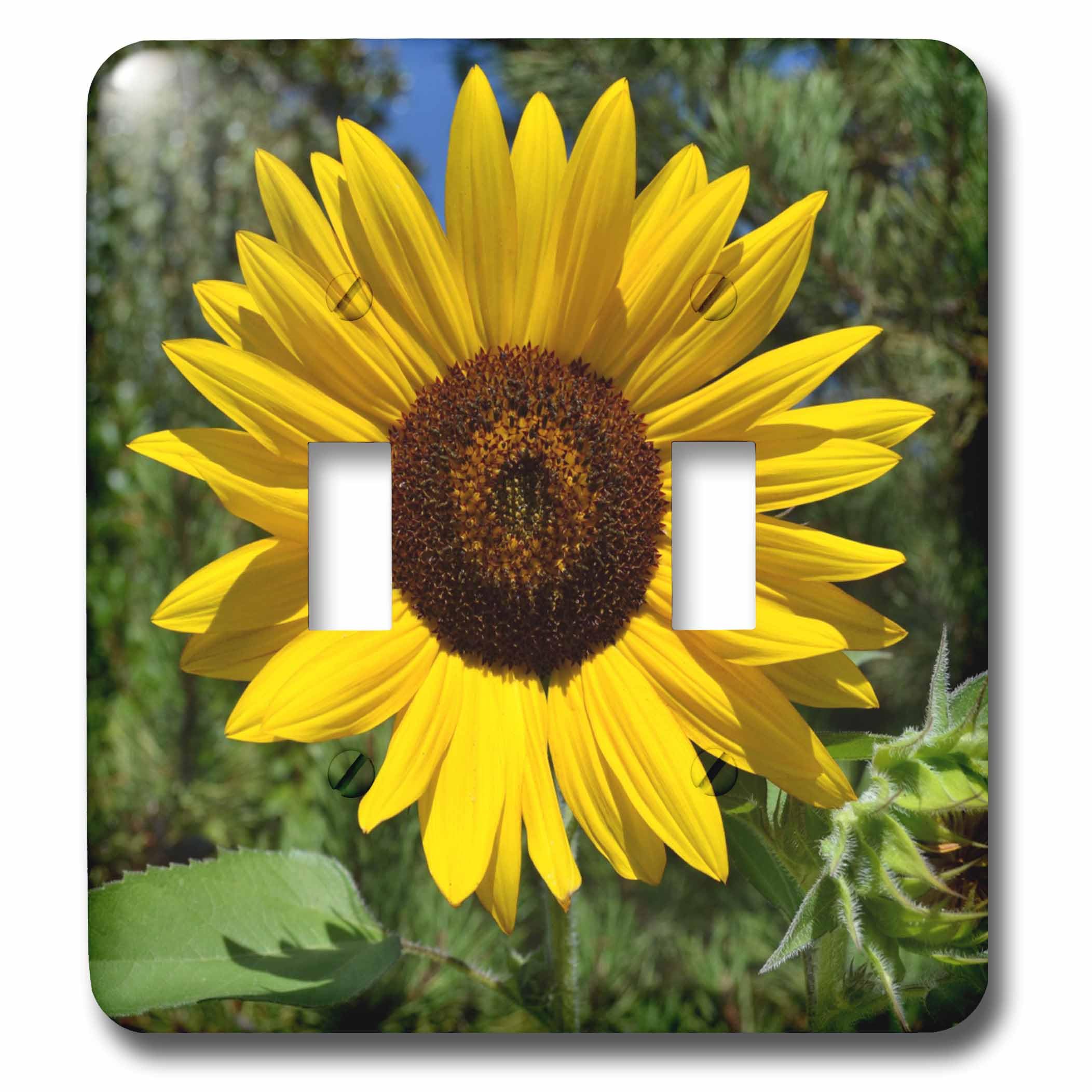 Double interrupteur à bascule avec photographie de tournesol d'été 3dRose lsp_30795_2