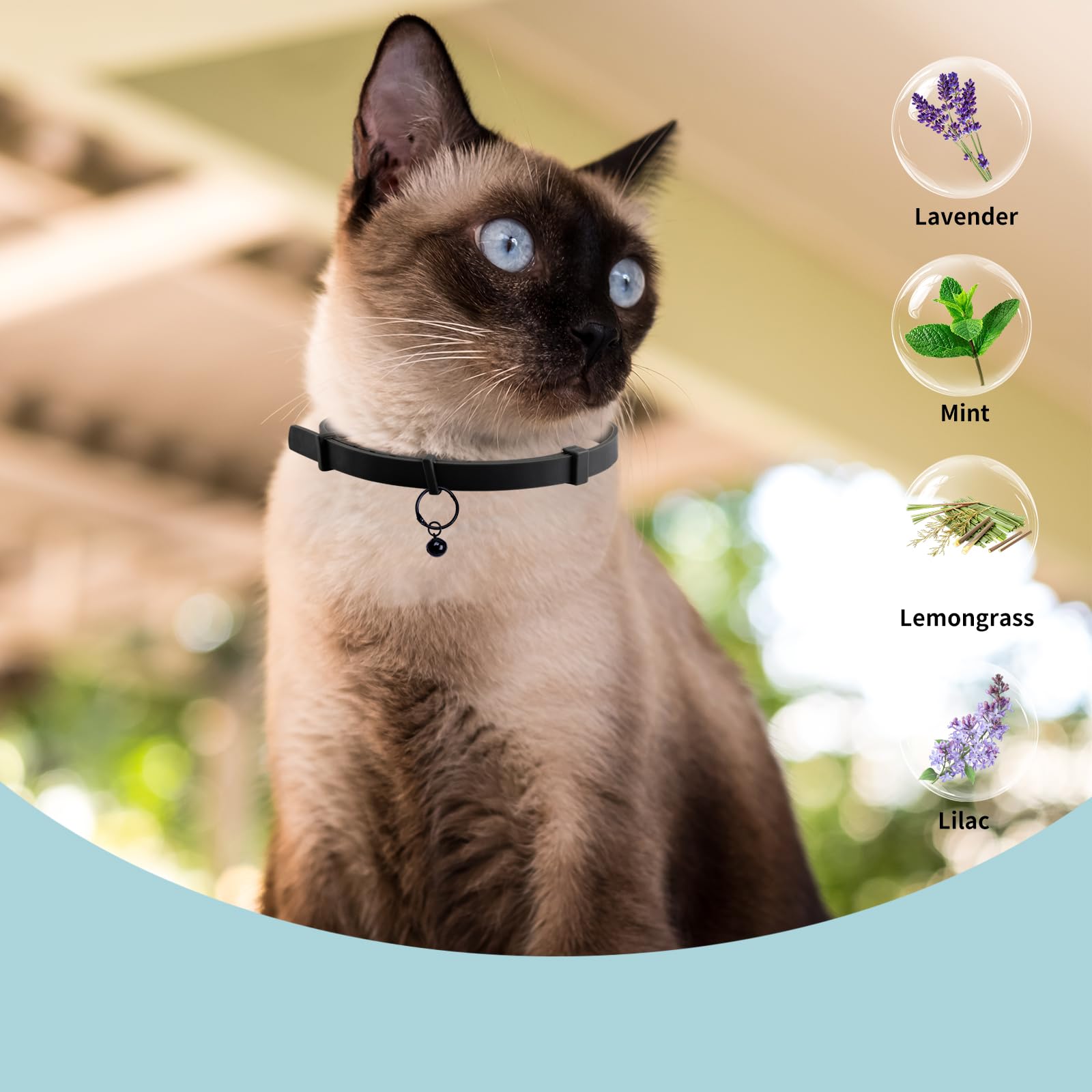 DOINEUFL 2 Pack Collar for Cats Cat Collar to Prevent Infections, 15in Safe Waterproof Adjustable Cat Collars with Bell - Image 3