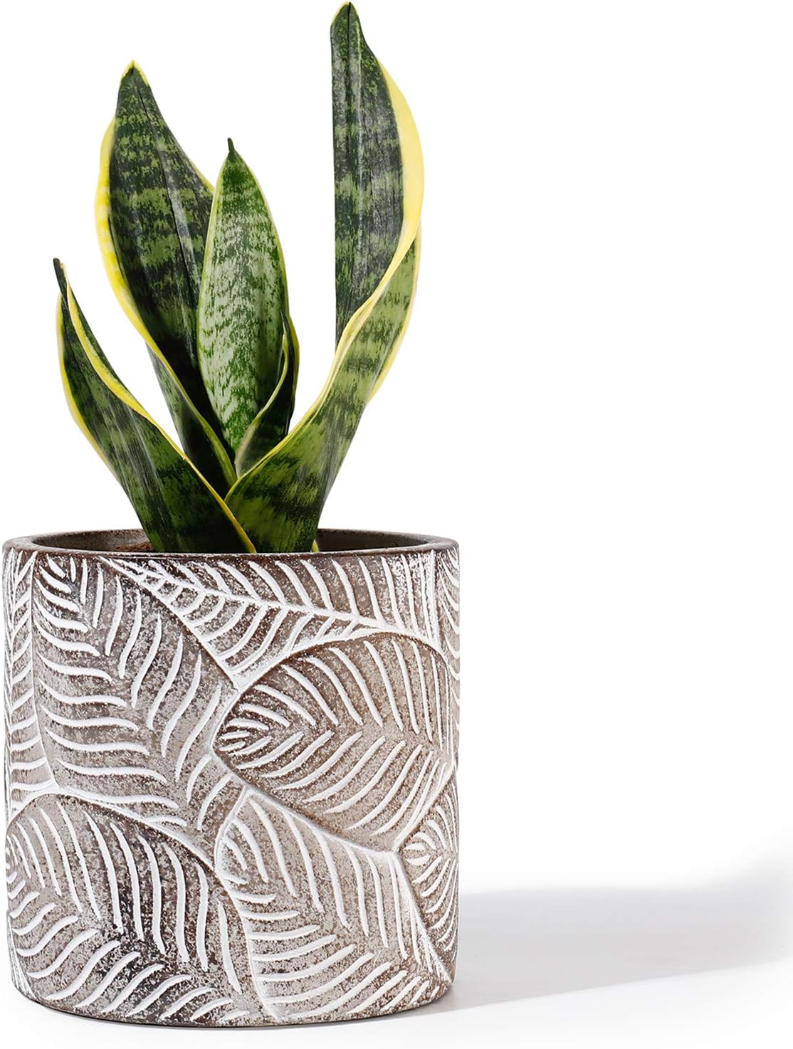 POTEY Cement Planter Flower Pot - 4.8" Vintage Indoor Plants Containers Unglazed Medium Bonsai with Drain Hole - Bronze, Leaves Embossment