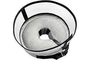 Inflatable Dog Collar: Revolutionary Post-Surgery Recovery
