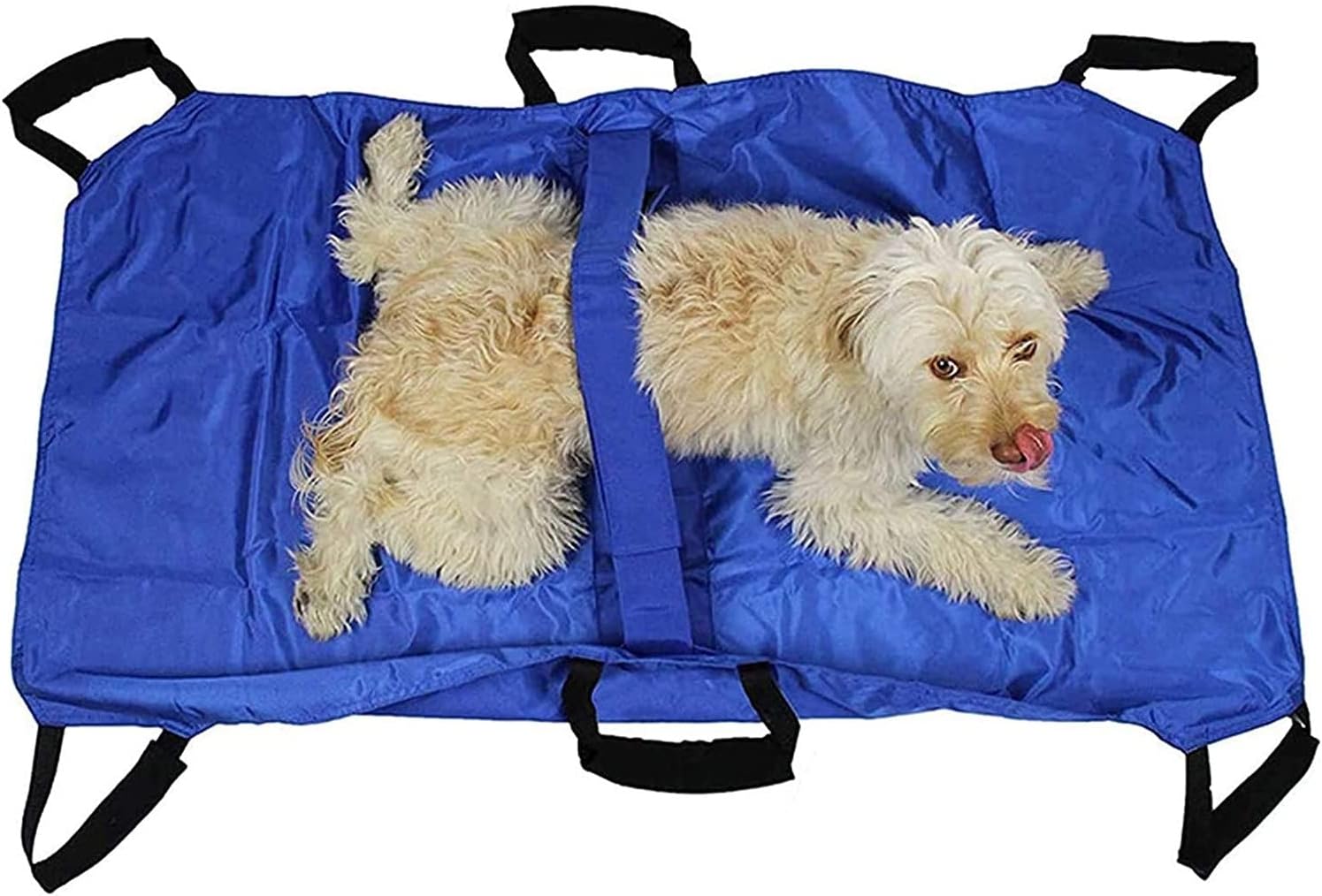 EYST Transport Stretcher Dogs Emergency Animal Carrier with Safety Strap Keep Your