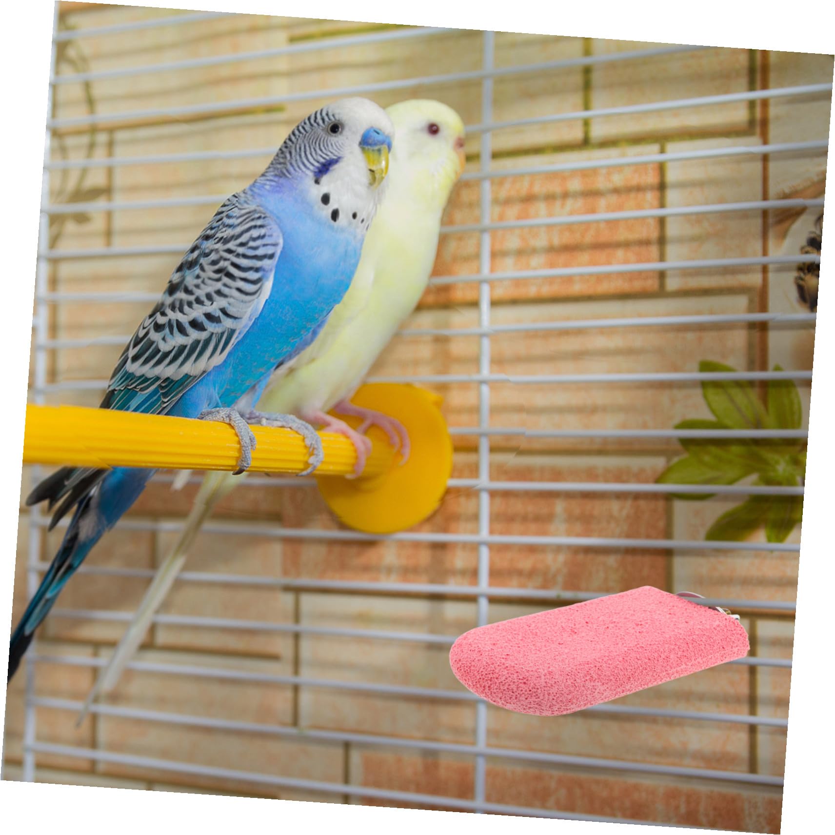 3 Pezzi Posatoio per pappagalli colorato con superficie antiscivolo per gabbia, accessori per pappagalli e parrocchetti per cura delle unghie, allenamento e arrampicata