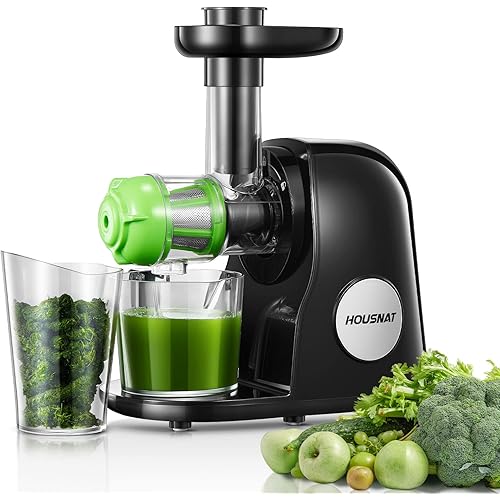 Juicer Machines, HOUSNAT Professional Celery Slow Masticating Juicer Extractor Easy to Clean, Cold Press Juicer with Quiet Motor and Reverse Function for Fruit & Vegetable, Brushes & Recipes Included
