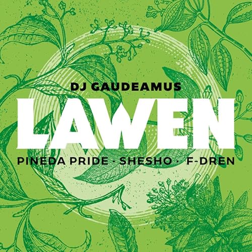 Lawen By Dj Gaudeamus Featuring F Dren Pineda Pride And Shesho On Amazon Music Amazon Com amazon com