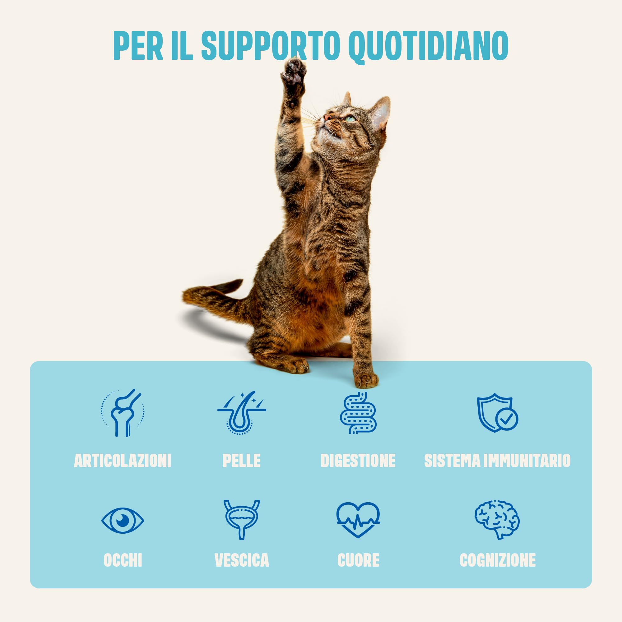 ivvi Essenza Multivitaminica per Gatti – snack cremoso con vero tonno – con vitamine del gruppo B, vitamine A, D3 ed E, biotina, L-lisina, magnesio e cozza verde – 30 x 15 g