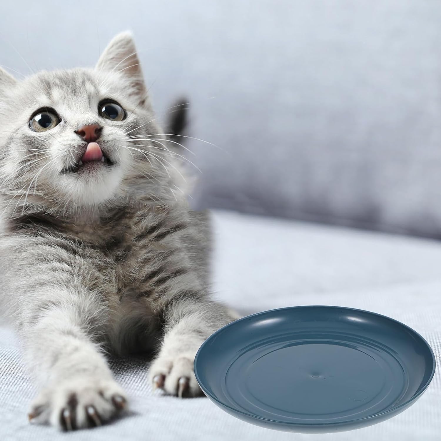 Mobestech 8pcs Shallow Cat Feeder Bowls Set with Stable Support Light Blue Plastic Small Flat Pet Food Dishes for Kittens and Short-Legged Cats Indoor Feeding