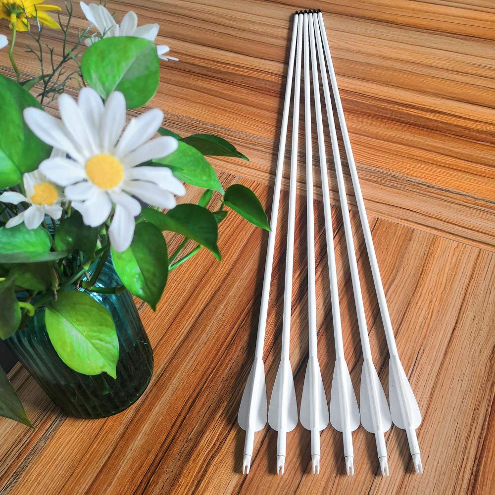 12pcs Freccia di Carbonio 30 Pollici 500 Spine Tiro con L'Arco in Carbonio Frecce con Faretra Freccia per Arco Compound Ricurvo (tipo 2)