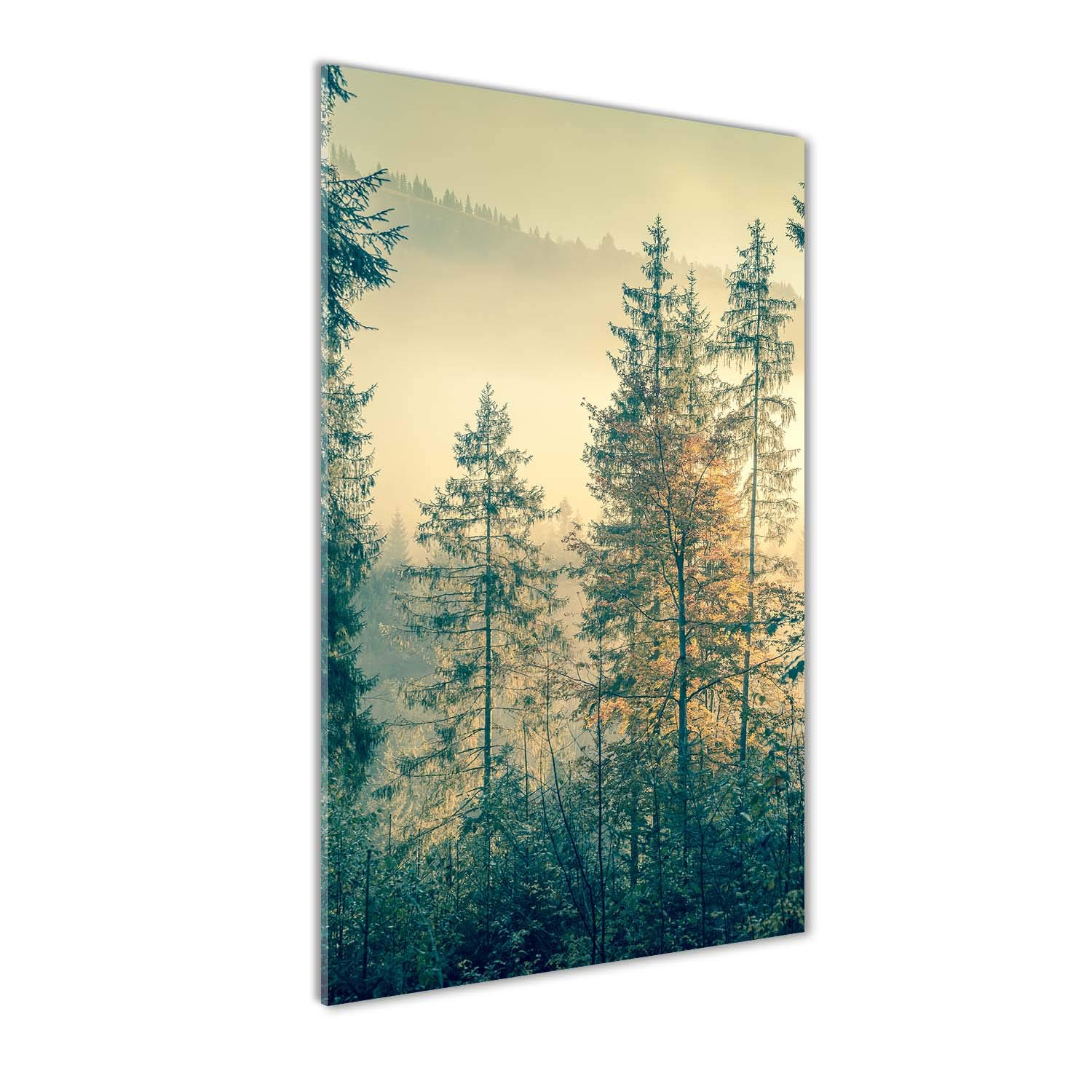 Peinture sur verre trempé Tulup forêt brumeuse 70x140 cm au rendu haut de gamme et brillant